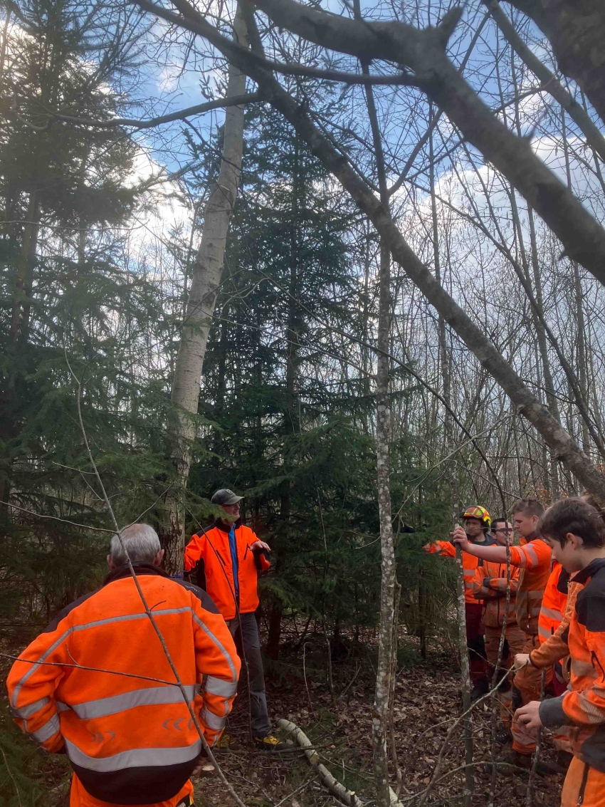 Peter Ammann bei einer freigestellten Aspe (auch Espe oder Zitterpappel genannt). Die Aspe weist als Pionierbaumart ein beeindruckendes Wachstum auf und beherbergt viele Schmetterlinge. (Foto: Pascal Gm&uuml;r)